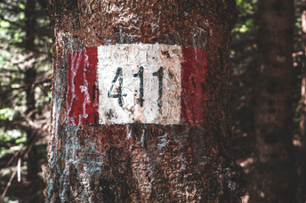 2025's Ultimate Guide to 411 Angel Number: Meaning & Signs