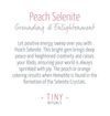 Peach Selenite Gemstone Pendulum