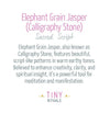 Elephant Jasper Energy Bracelet
