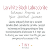 Larvikite Black Labradorite Energy Bracelet